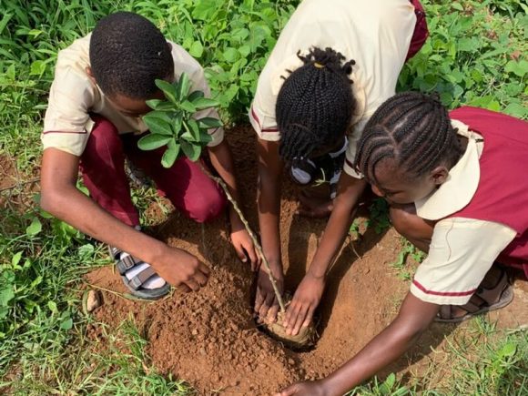 Marking World Environment Day 2026